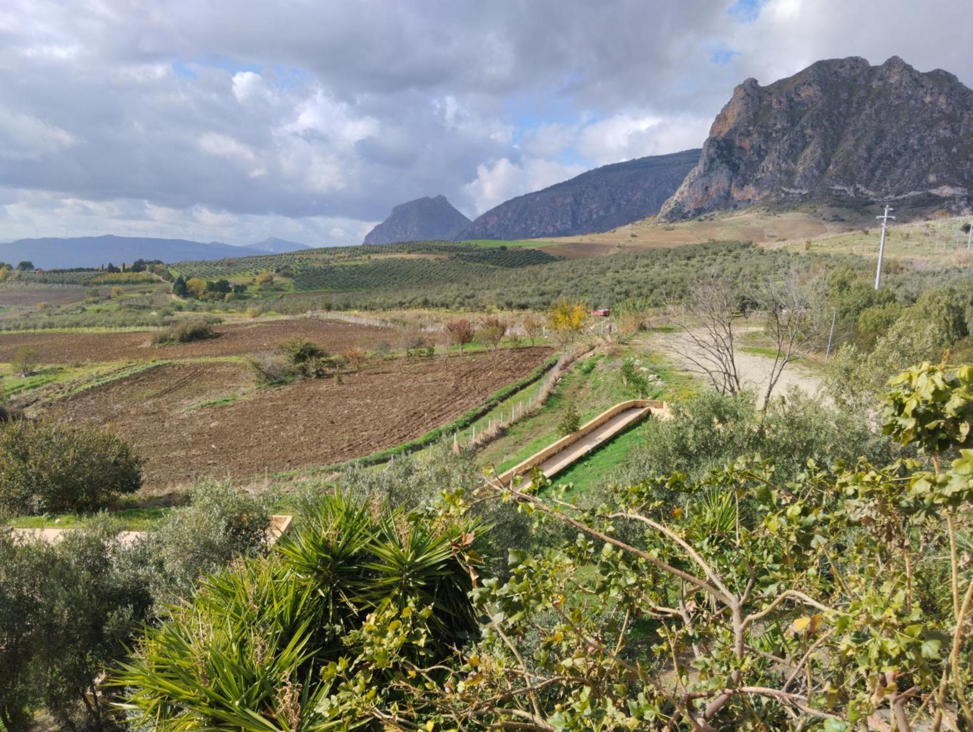 Agriturismo Masseria La Chiusa San Giuseppe Jato Екстериор снимка